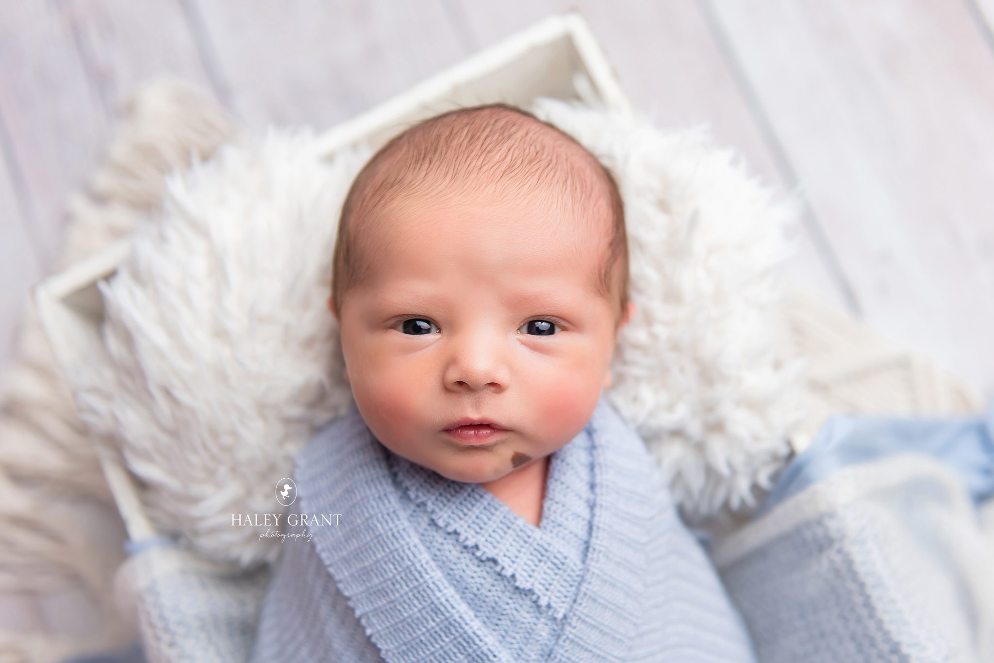 Unlocking the Magic: Understanding Newborn Photography Prices in Austin, Texas