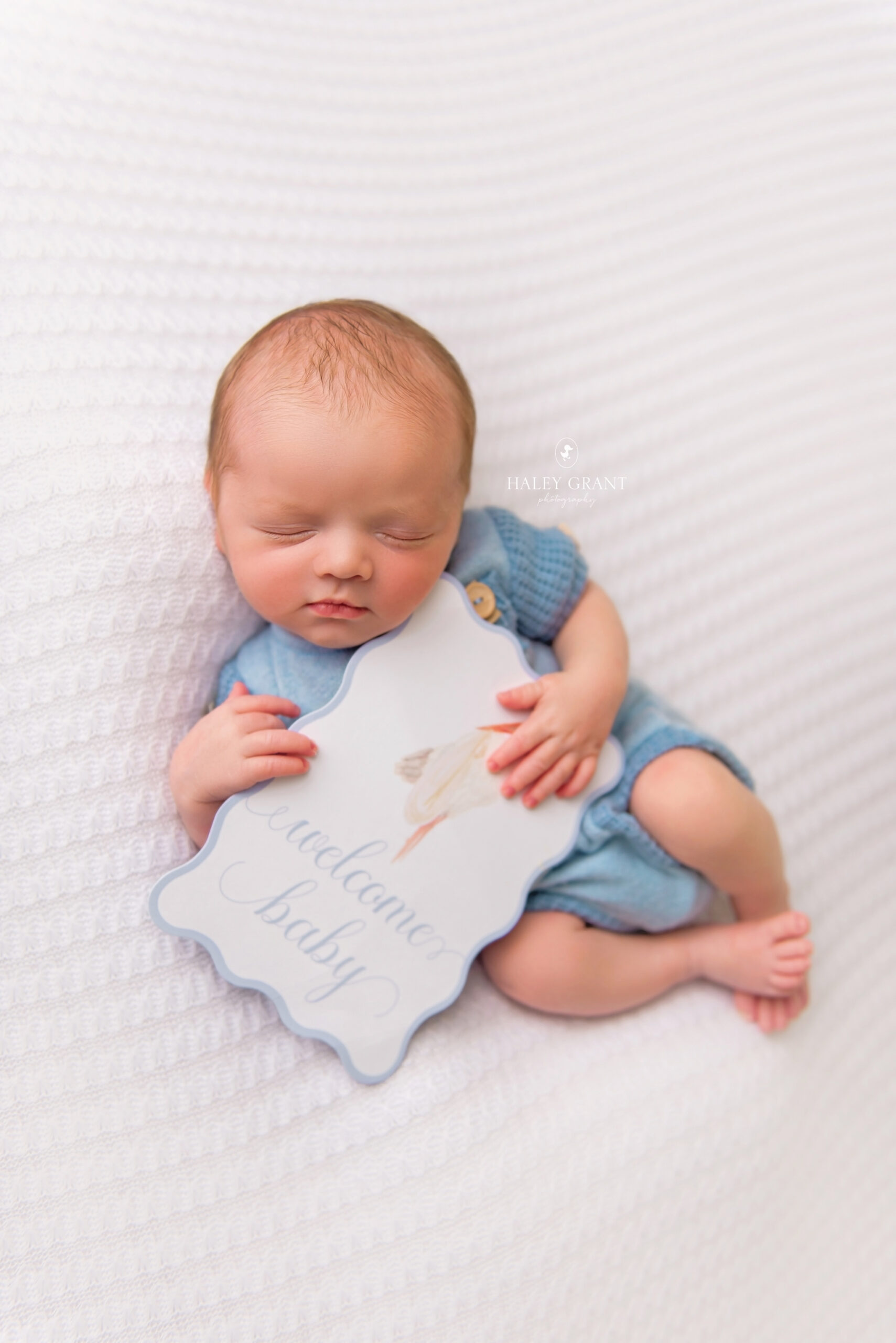 Newborn Baby Photographer Austin Texas