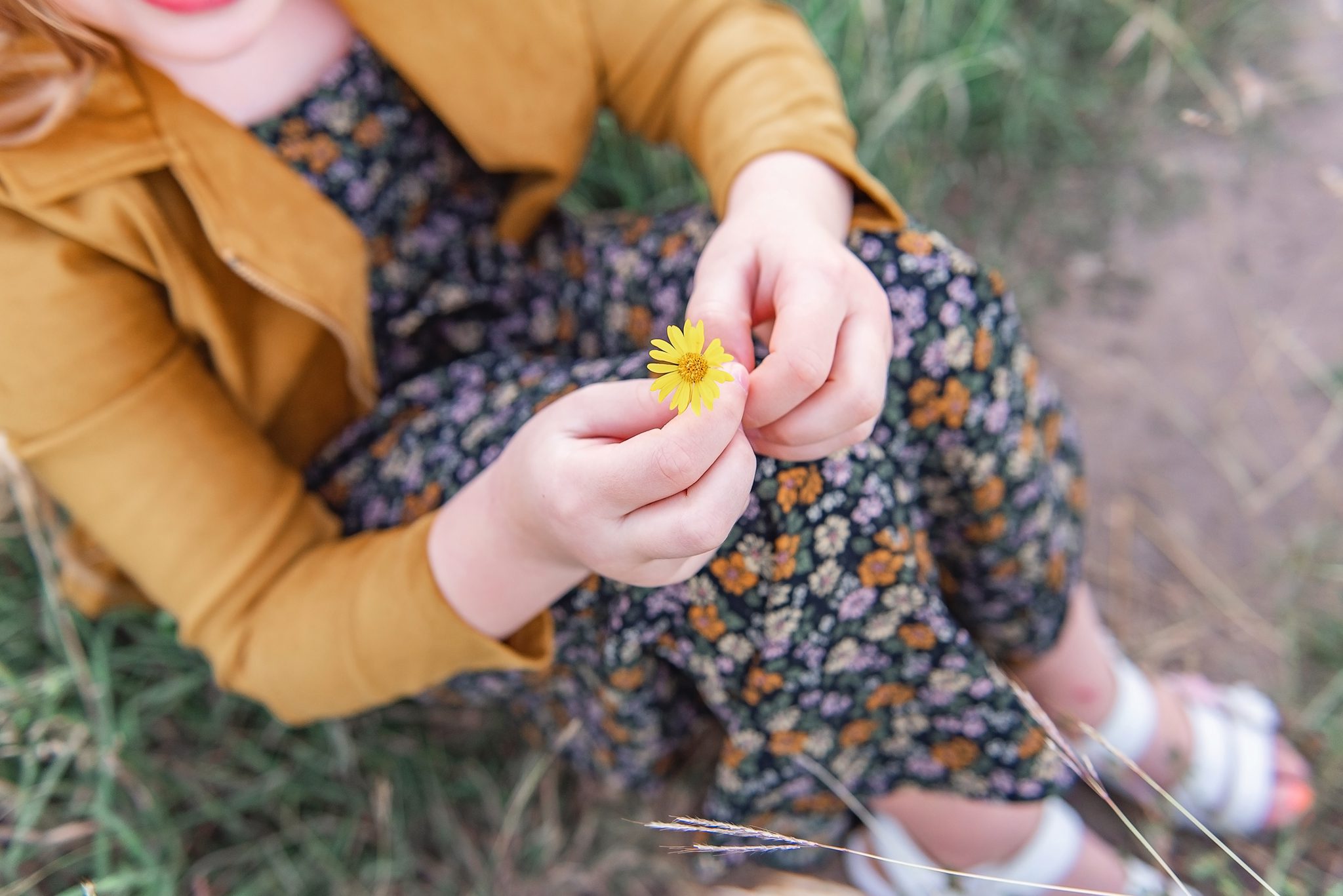 Austin Family Photographer