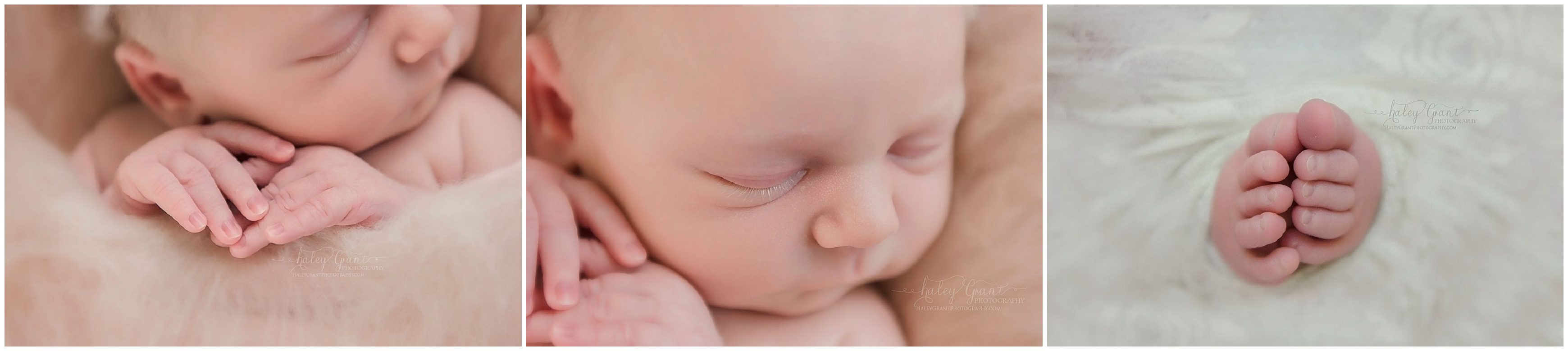 Newborn Photographer Cedar Park and Round Rock Texas