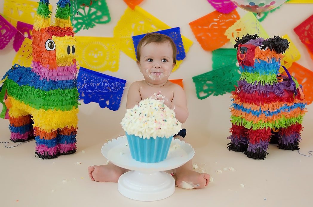 First birthday cake smash photographer cedar park tx Haley Grant Photography