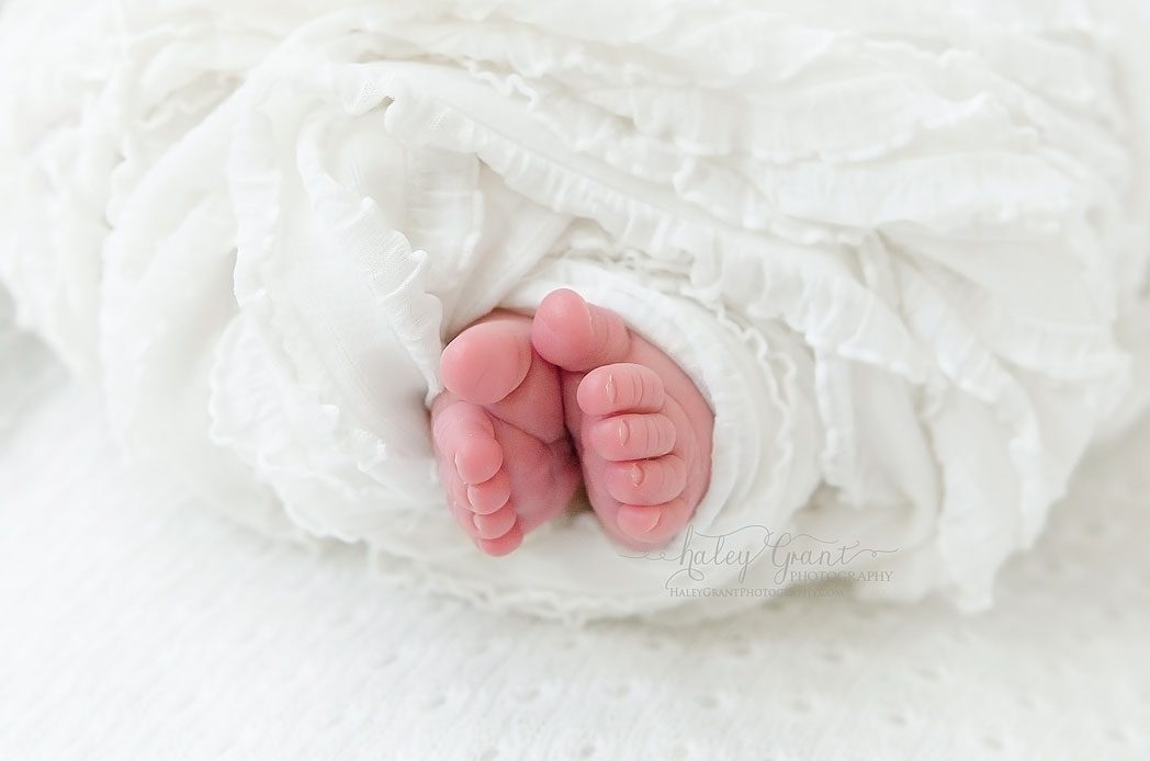 Top Newborn Baby Photographer Austin Texas Haley Grant Photography