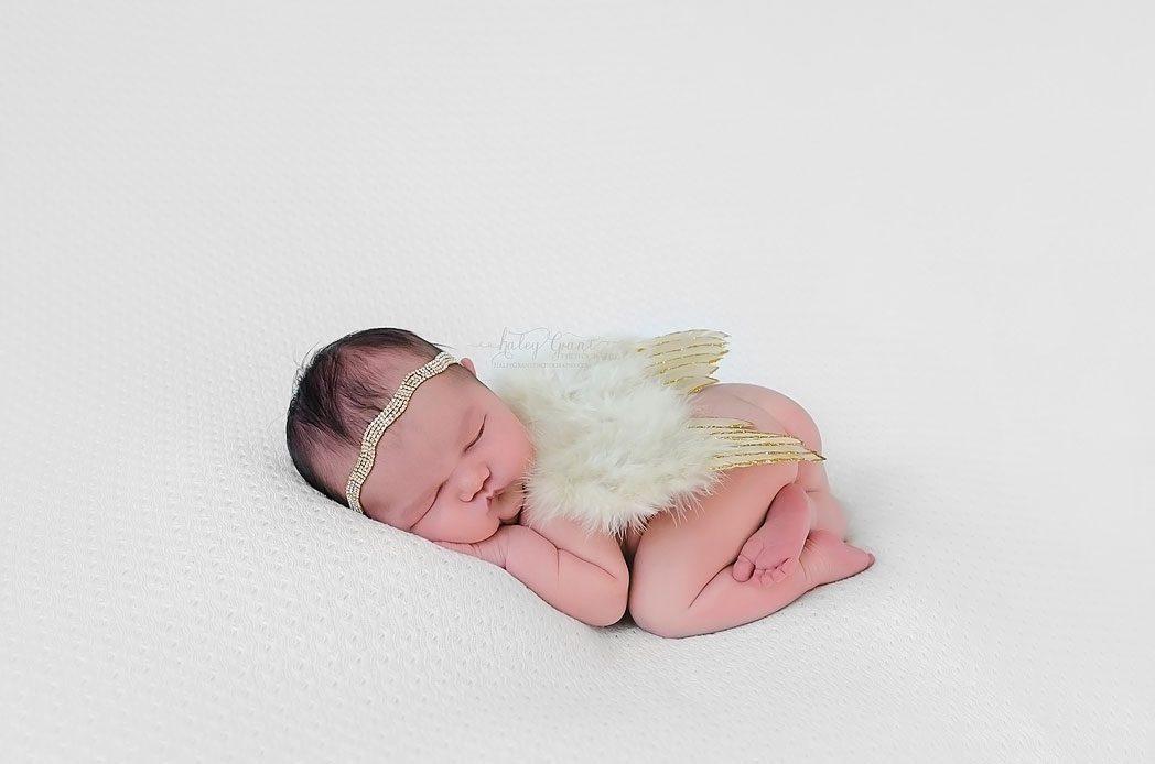 Top Newborn Baby Photographer Austin Texas Haley Grant Photography