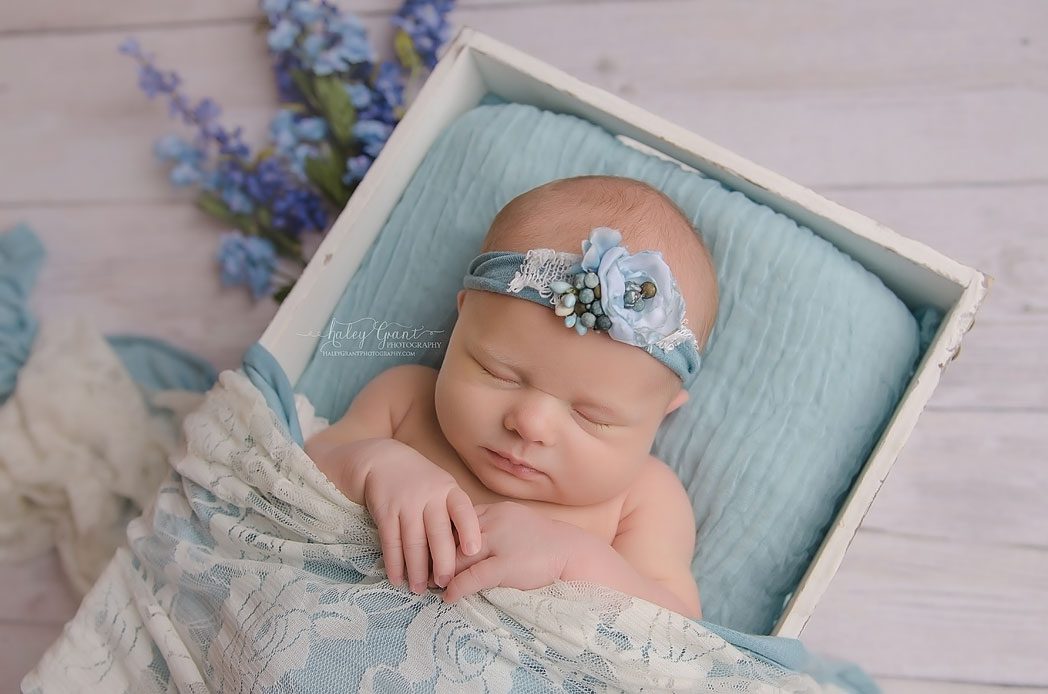 Professional Newborn Baby Photographer