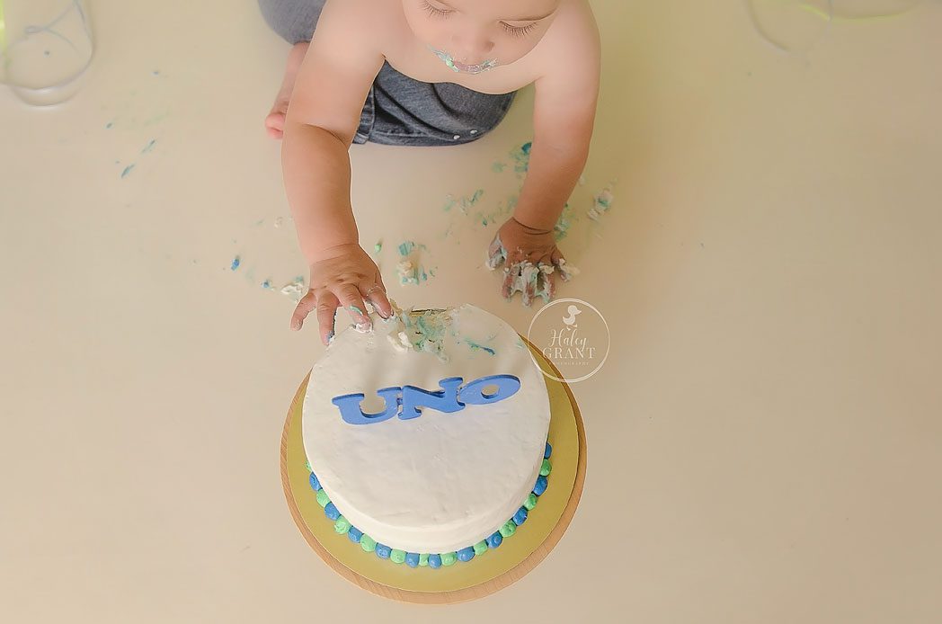 Professional First Birthday Cake Smash Portraits