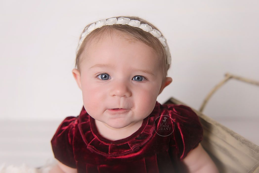 6 Month Baby Milestone Portraits Austin Texas