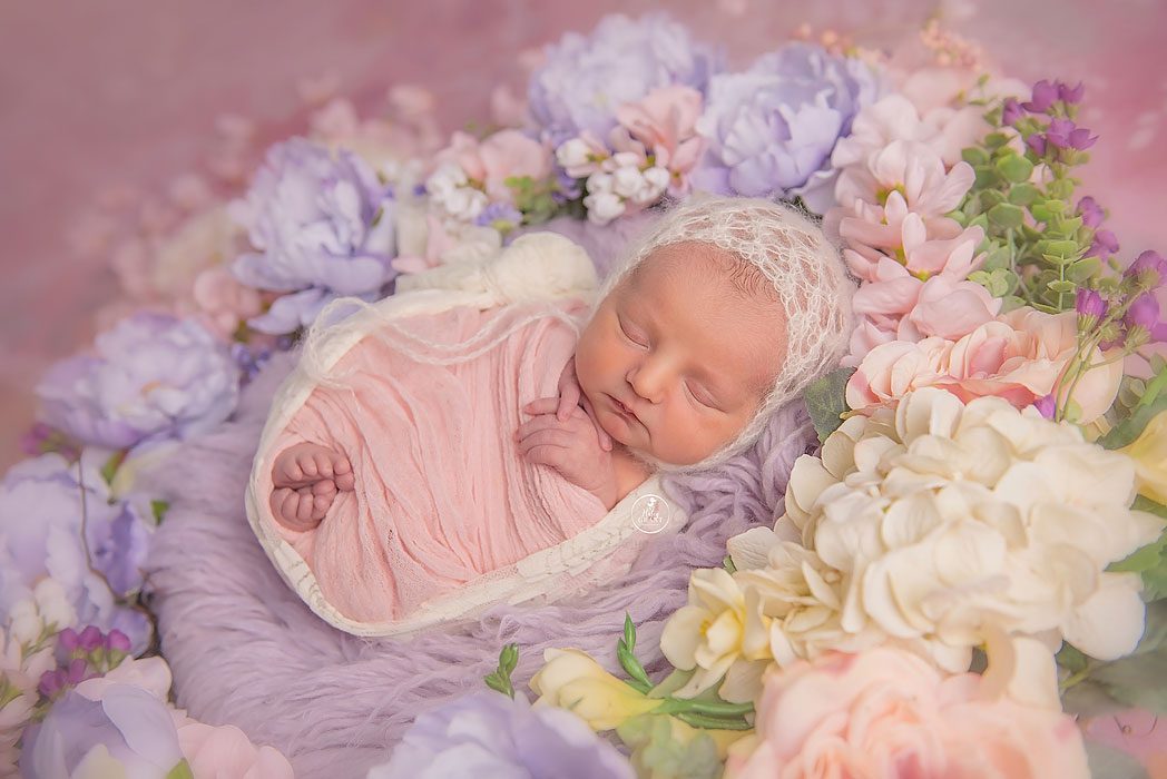 Austin Texas Newborn baby Photography
