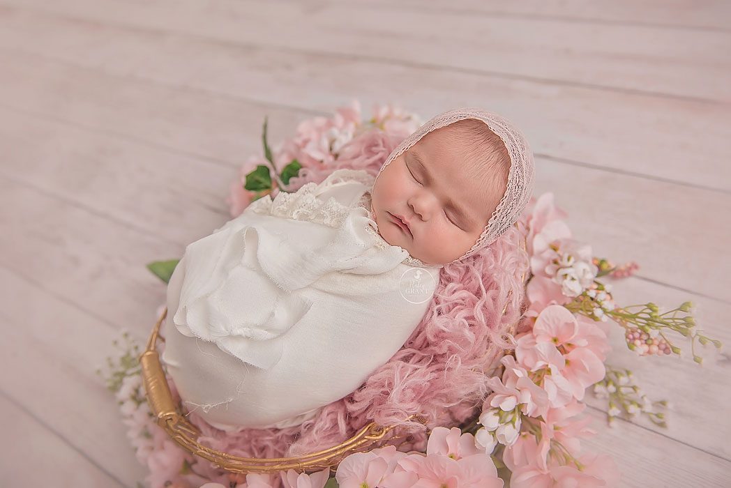 Baby Portraits by Austin Newborn Photographer