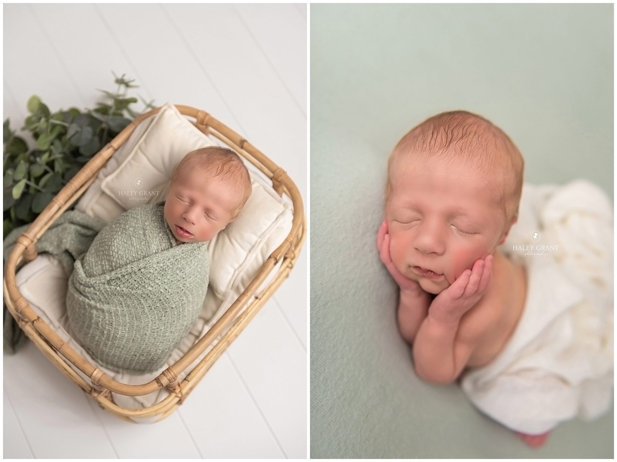 haley grant photography, newborn photography austin, austin newborn photography, haley grant, austin newborn photographer, newborn photographer austin, newborn photography austin tx, newborn photography georgetown, austin maternity photographer, austin baby photographer, affordable newborn photography near me, maternity photography austin, affordable maternity photography near me, cake smash photography austin, maternity photoshoot austin, newborn photographer austin tx, austin texas newborn photographer, newborn photoshoot austin, maternity photographer georgetown tx, maternity photos austin, newborn photographer, milestone photography, baby milestone photography near me, affordable newborn photography austin, tx, affordable newborn photography, baby photographers austin, first birthday photoshoot near me, first birthday photography austin, round rock newborn photographer, first birthday photographer austin, professional baby photographer, 1st birthday photoshoot near me, cake smash photoshoot near me, back to school mini sessions, new born photoshoot near me, newborn maternity photography, maternity photography, bluebonnet mini sessions, photographers near me, newborn baby photoshoot near me, smash the cake photographer near me, newborn photography packages near me, austin family photographer, austin maternity photography, austin baby photographers, austin newborn photographers, newborn photography cedar park tx, affordable maternity photography, newborn photography texas, baby photographer, maternity photographer austin tx, austin birth photographer, austin baby photography, newborn photography in austin tx, newborn photography near me, maternity photoshoot cost, austin photographer, smash cake photoshoot near me, family photographer austin, maternity and newborn photography packages, baby milestone photography, family photos austin, cake smash photographer near me, cake smash photography near me, austin family photographer mini session, newborn photographer georgetown, maternity photography georgetown tx, cake smash photoshoot austin, cake smash session austin, newborn photographer cedar park, newborn photography cedar park, newborn photography round rock, cake smash photographer pflugerville, maternity photographer pflugerville, maternity photographer cedar park, maternity photographer round rock tx, milestone photography near me, best family photographer austin, first birthday photography near me, 1st birthday photography near me, photography in austin, birth photographer austin, cake smash near me, affordable maternity photoshoot , maternity photoshoot prices, austin maternity photographers, january milestone pictures, smash cake austin, birthday photographer, maternity shoot pricing, when do I book my newborn photographer, Austin, Affordable, Austin Professional newborn Baby Photographer, Austin TX, Austin Texas, Baby Photographer, Haley Grant Photography, Hutto, newborn Photographer, Photographer, Portrait Photographer, Professional, Texas, austin newborn photographers, austin photographer, austin tx newborn photographer, baby, baby photography, baby photos, best, best austin photographer, best baby photographer, best baby photographers, best newborn photographer, cedar park, cedar park newborn photographer, georgetown, newborn, lakeway, lakeway tx newborn photographer, leander, leander tx newborn photographer, newborn photos Cedar Park, newborn Photography, newborn photographer austin tx, newborn photographer cedar park tx, newborn photographer dripping springs, newborn photographer lakeway tx, newborn photographer leander tx, newborn photographer round rock tx, newborn photographers austin, newborn photos, professional, professional photographer, Props provided, round rock, round rock tx newborn photographer, service, steiner ranch, studio, tx, westlake, newborn 