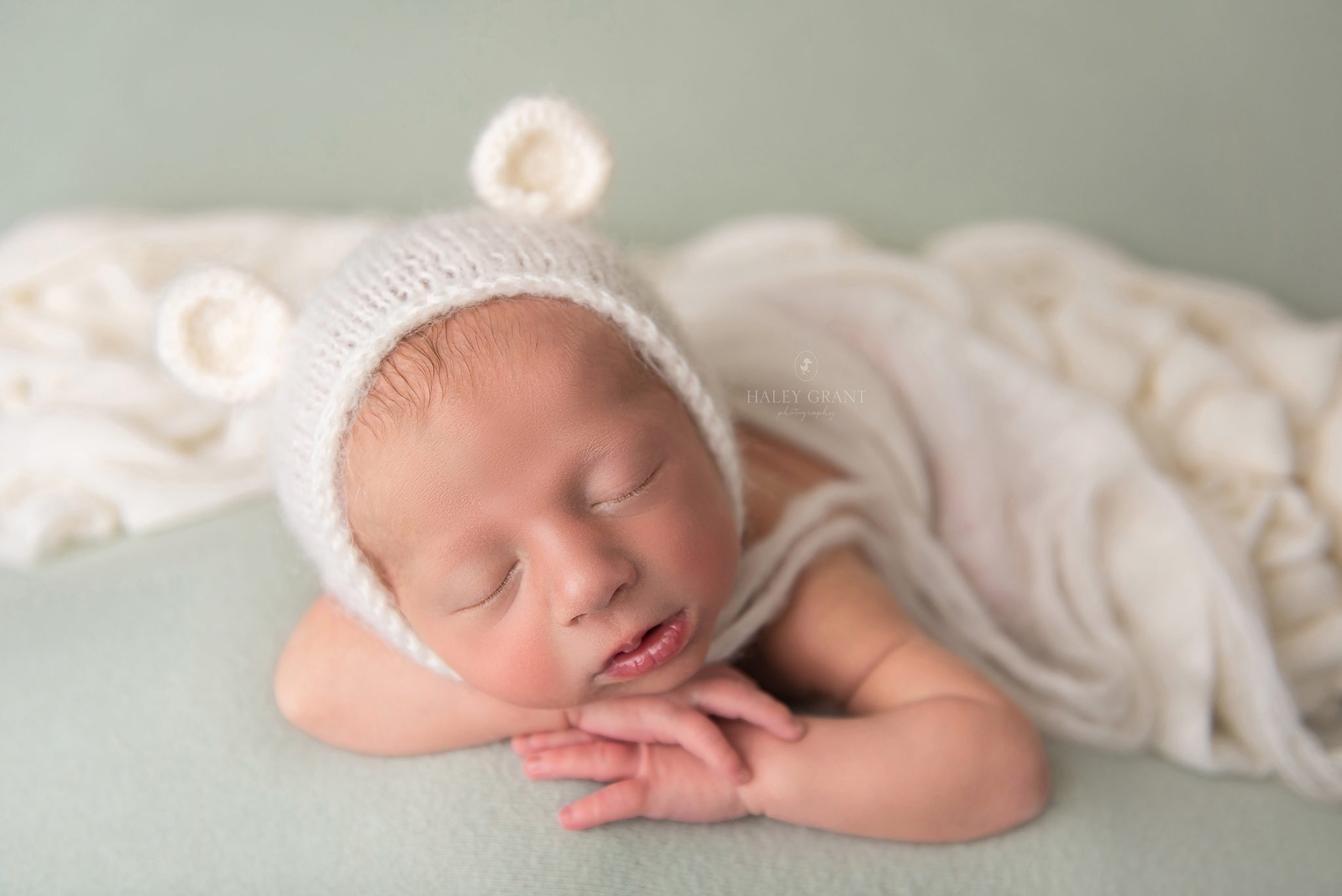 haley grant photography, newborn photography austin, austin newborn photography, haley grant, austin newborn photographer, newborn photographer austin, newborn photography austin tx, newborn photography georgetown, austin maternity photographer, austin baby photographer, affordable newborn photography near me, maternity photography austin, affordable maternity photography near me, cake smash photography austin, maternity photoshoot austin, newborn photographer austin tx, austin texas newborn photographer, newborn photoshoot austin, maternity photographer georgetown tx, maternity photos austin, newborn photographer, milestone photography, baby milestone photography near me, affordable newborn photography austin, tx, affordable newborn photography, baby photographers austin, first birthday photoshoot near me, first birthday photography austin, round rock newborn photographer, first birthday photographer austin, professional baby photographer, 1st birthday photoshoot near me, cake smash photoshoot near me, back to school mini sessions, new born photoshoot near me, newborn maternity photography, maternity photography, bluebonnet mini sessions, photographers near me, newborn baby photoshoot near me, smash the cake photographer near me, newborn photography packages near me, austin family photographer, austin maternity photography, austin baby photographers, austin newborn photographers, newborn photography cedar park tx, affordable maternity photography, newborn photography texas, baby photographer, maternity photographer austin tx, austin birth photographer, austin baby photography, newborn photography in austin tx, newborn photography near me, maternity photoshoot cost, austin photographer, smash cake photoshoot near me, family photographer austin, maternity and newborn photography packages, baby milestone photography, family photos austin, cake smash photographer near me, cake smash photography near me, austin family photographer mini session, newborn photographer georgetown, maternity photography georgetown tx, cake smash photoshoot austin, cake smash session austin, newborn photographer cedar park, newborn photography cedar park, newborn photography round rock, cake smash photographer pflugerville, maternity photographer pflugerville, maternity photographer cedar park, maternity photographer round rock tx, milestone photography near me, best family photographer austin, first birthday photography near me, 1st birthday photography near me, photography in austin, birth photographer austin, cake smash near me, affordable maternity photoshoot , maternity photoshoot prices, austin maternity photographers, january milestone pictures, smash cake austin, birthday photographer, maternity shoot pricing, when do I book my newborn photographer, Austin, Affordable, Austin Professional newborn Baby Photographer, Austin TX, Austin Texas, Baby Photographer, Haley Grant Photography, Hutto, newborn Photographer, Photographer, Portrait Photographer, Professional, Texas, austin newborn photographers, austin photographer, austin tx newborn photographer, baby, baby photography, baby photos, best, best austin photographer, best baby photographer, best baby photographers, best newborn photographer, cedar park, cedar park newborn photographer, georgetown, newborn, lakeway, lakeway tx newborn photographer, leander, leander tx newborn photographer, newborn photos Cedar Park, newborn Photography, newborn photographer austin tx, newborn photographer cedar park tx, newborn photographer dripping springs, newborn photographer lakeway tx, newborn photographer leander tx, newborn photographer round rock tx, newborn photographers austin, newborn photos, professional, professional photographer, Props provided, round rock, round rock tx newborn photographer, service, steiner ranch, studio, tx, westlake, newborn 