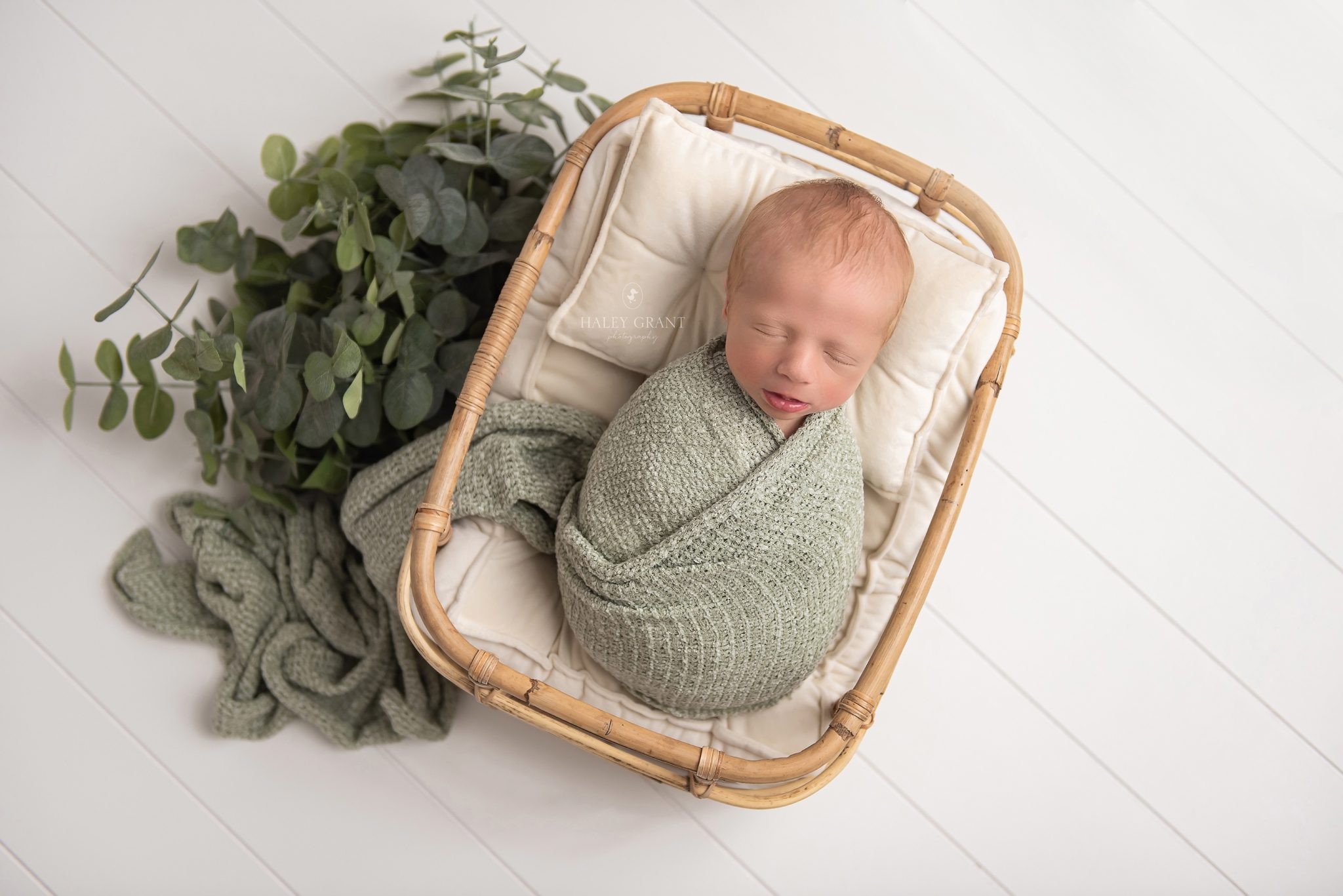 haley grant photography, newborn photography austin, austin newborn photography, haley grant, austin newborn photographer, newborn photographer austin, newborn photography austin tx, newborn photography georgetown, austin maternity photographer, austin baby photographer, affordable newborn photography near me, maternity photography austin, affordable maternity photography near me, cake smash photography austin, maternity photoshoot austin, newborn photographer austin tx, austin texas newborn photographer, newborn photoshoot austin, maternity photographer georgetown tx, maternity photos austin, newborn photographer, milestone photography, baby milestone photography near me, affordable newborn photography austin, tx, affordable newborn photography, baby photographers austin, first birthday photoshoot near me, first birthday photography austin, round rock newborn photographer, first birthday photographer austin, professional baby photographer, 1st birthday photoshoot near me, cake smash photoshoot near me, back to school mini sessions, new born photoshoot near me, newborn maternity photography, maternity photography, bluebonnet mini sessions, photographers near me, newborn baby photoshoot near me, smash the cake photographer near me, newborn photography packages near me, austin family photographer, austin maternity photography, austin baby photographers, austin newborn photographers, newborn photography cedar park tx, affordable maternity photography, newborn photography texas, baby photographer, maternity photographer austin tx, austin birth photographer, austin baby photography, newborn photography in austin tx, newborn photography near me, maternity photoshoot cost, austin photographer, smash cake photoshoot near me, family photographer austin, maternity and newborn photography packages, baby milestone photography, family photos austin, cake smash photographer near me, cake smash photography near me, austin family photographer mini session, newborn photographer georgetown, maternity photography georgetown tx, cake smash photoshoot austin, cake smash session austin, newborn photographer cedar park, newborn photography cedar park, newborn photography round rock, cake smash photographer pflugerville, maternity photographer pflugerville, maternity photographer cedar park, maternity photographer round rock tx, milestone photography near me, best family photographer austin, first birthday photography near me, 1st birthday photography near me, photography in austin, birth photographer austin, cake smash near me, affordable maternity photoshoot , maternity photoshoot prices, austin maternity photographers, january milestone pictures, smash cake austin, birthday photographer, maternity shoot pricing, when do I book my newborn photographer, Austin, Affordable, Austin Professional newborn Baby Photographer, Austin TX, Austin Texas, Baby Photographer, Haley Grant Photography, Hutto, newborn Photographer, Photographer, Portrait Photographer, Professional, Texas, austin newborn photographers, austin photographer, austin tx newborn photographer, baby, baby photography, baby photos, best, best austin photographer, best baby photographer, best baby photographers, best newborn photographer, cedar park, cedar park newborn photographer, georgetown, newborn, lakeway, lakeway tx newborn photographer, leander, leander tx newborn photographer, newborn photos Cedar Park, newborn Photography, newborn photographer austin tx, newborn photographer cedar park tx, newborn photographer dripping springs, newborn photographer lakeway tx, newborn photographer leander tx, newborn photographer round rock tx, newborn photographers austin, newborn photos, professional, professional photographer, Props provided, round rock, round rock tx newborn photographer, service, steiner ranch, studio, tx, westlake, newborn 