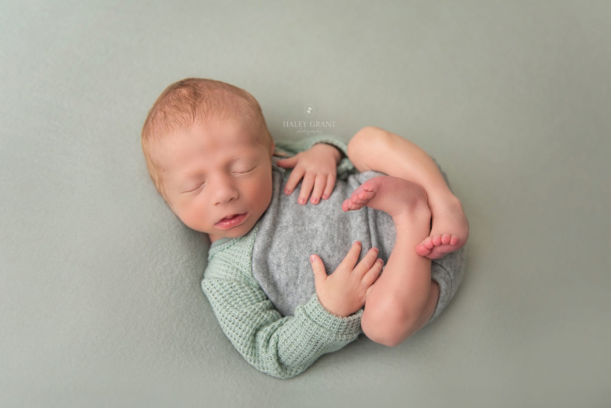 haley grant photography, newborn photography austin, austin newborn photography, haley grant, austin newborn photographer, newborn photographer austin, newborn photography austin tx, newborn photography georgetown, austin maternity photographer, austin baby photographer, affordable newborn photography near me, maternity photography austin, affordable maternity photography near me, cake smash photography austin, maternity photoshoot austin, newborn photographer austin tx, austin texas newborn photographer, newborn photoshoot austin, maternity photographer georgetown tx, maternity photos austin, newborn photographer, milestone photography, baby milestone photography near me, affordable newborn photography austin, tx, affordable newborn photography, baby photographers austin, first birthday photoshoot near me, first birthday photography austin, round rock newborn photographer, first birthday photographer austin, professional baby photographer, 1st birthday photoshoot near me, cake smash photoshoot near me, back to school mini sessions, new born photoshoot near me, newborn maternity photography, maternity photography, bluebonnet mini sessions, photographers near me, newborn baby photoshoot near me, smash the cake photographer near me, newborn photography packages near me, austin family photographer, austin maternity photography, austin baby photographers, austin newborn photographers, newborn photography cedar park tx, affordable maternity photography, newborn photography texas, baby photographer, maternity photographer austin tx, austin birth photographer, austin baby photography, newborn photography in austin tx, newborn photography near me, maternity photoshoot cost, austin photographer, smash cake photoshoot near me, family photographer austin, maternity and newborn photography packages, baby milestone photography, family photos austin, cake smash photographer near me, cake smash photography near me, austin family photographer mini session, newborn photographer georgetown, maternity photography georgetown tx, cake smash photoshoot austin, cake smash session austin, newborn photographer cedar park, newborn photography cedar park, newborn photography round rock, cake smash photographer pflugerville, maternity photographer pflugerville, maternity photographer cedar park, maternity photographer round rock tx, milestone photography near me, best family photographer austin, first birthday photography near me, 1st birthday photography near me, photography in austin, birth photographer austin, cake smash near me, affordable maternity photoshoot , maternity photoshoot prices, austin maternity photographers, january milestone pictures, smash cake austin, birthday photographer, maternity shoot pricing, when do I book my newborn photographer, Austin, Affordable, Austin Professional newborn Baby Photographer, Austin TX, Austin Texas, Baby Photographer, Haley Grant Photography, Hutto, newborn Photographer, Photographer, Portrait Photographer, Professional, Texas, austin newborn photographers, austin photographer, austin tx newborn photographer, baby, baby photography, baby photos, best, best austin photographer, best baby photographer, best baby photographers, best newborn photographer, cedar park, cedar park newborn photographer, georgetown, newborn, lakeway, lakeway tx newborn photographer, leander, leander tx newborn photographer, newborn photos Cedar Park, newborn Photography, newborn photographer austin tx, newborn photographer cedar park tx, newborn photographer dripping springs, newborn photographer lakeway tx, newborn photographer leander tx, newborn photographer round rock tx, newborn photographers austin, newborn photos, professional, professional photographer, Props provided, round rock, round rock tx newborn photographer, service, steiner ranch, studio, tx, westlake, newborn 