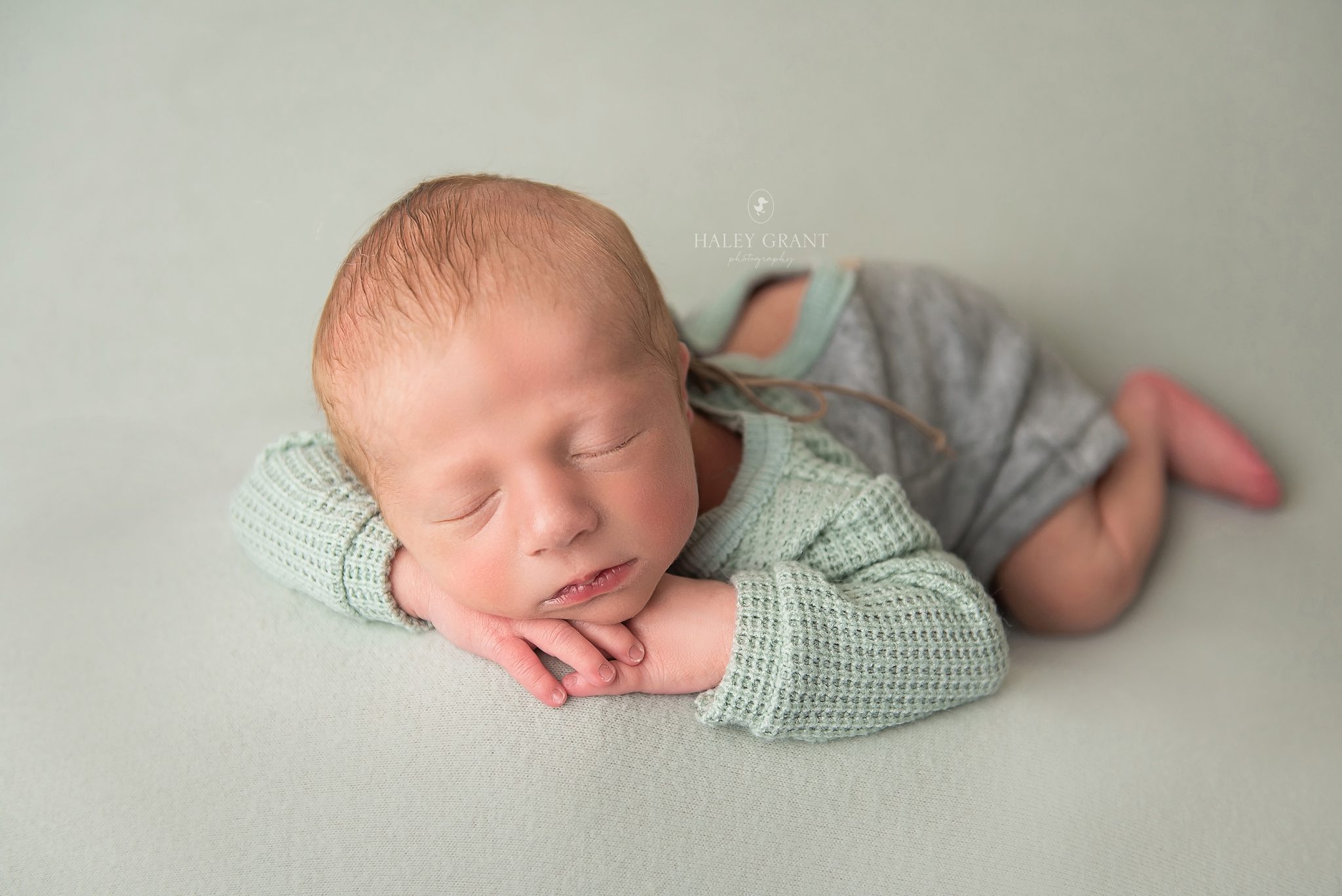 haley grant photography, newborn photography austin, austin newborn photography, haley grant, austin newborn photographer, newborn photographer austin, newborn photography austin tx, newborn photography georgetown, austin maternity photographer, austin baby photographer, affordable newborn photography near me, maternity photography austin, affordable maternity photography near me, cake smash photography austin, maternity photoshoot austin, newborn photographer austin tx, austin texas newborn photographer, newborn photoshoot austin, maternity photographer georgetown tx, maternity photos austin, newborn photographer, milestone photography, baby milestone photography near me, affordable newborn photography austin, tx, affordable newborn photography, baby photographers austin, first birthday photoshoot near me, first birthday photography austin, round rock newborn photographer, first birthday photographer austin, professional baby photographer, 1st birthday photoshoot near me, cake smash photoshoot near me, back to school mini sessions, new born photoshoot near me, newborn maternity photography, maternity photography, bluebonnet mini sessions, photographers near me, newborn baby photoshoot near me, smash the cake photographer near me, newborn photography packages near me, austin family photographer, austin maternity photography, austin baby photographers, austin newborn photographers, newborn photography cedar park tx, affordable maternity photography, newborn photography texas, baby photographer, maternity photographer austin tx, austin birth photographer, austin baby photography, newborn photography in austin tx, newborn photography near me, maternity photoshoot cost, austin photographer, smash cake photoshoot near me, family photographer austin, maternity and newborn photography packages, baby milestone photography, family photos austin, cake smash photographer near me, cake smash photography near me, austin family photographer mini session, newborn photographer georgetown, maternity photography georgetown tx, cake smash photoshoot austin, cake smash session austin, newborn photographer cedar park, newborn photography cedar park, newborn photography round rock, cake smash photographer pflugerville, maternity photographer pflugerville, maternity photographer cedar park, maternity photographer round rock tx, milestone photography near me, best family photographer austin, first birthday photography near me, 1st birthday photography near me, photography in austin, birth photographer austin, cake smash near me, affordable maternity photoshoot , maternity photoshoot prices, austin maternity photographers, january milestone pictures, smash cake austin, birthday photographer, maternity shoot pricing, when do I book my newborn photographer, Austin, Affordable, Austin Professional newborn Baby Photographer, Austin TX, Austin Texas, Baby Photographer, Haley Grant Photography, Hutto, newborn Photographer, Photographer, Portrait Photographer, Professional, Texas, austin newborn photographers, austin photographer, austin tx newborn photographer, baby, baby photography, baby photos, best, best austin photographer, best baby photographer, best baby photographers, best newborn photographer, cedar park, cedar park newborn photographer, georgetown, newborn, lakeway, lakeway tx newborn photographer, leander, leander tx newborn photographer, newborn photos Cedar Park, newborn Photography, newborn photographer austin tx, newborn photographer cedar park tx, newborn photographer dripping springs, newborn photographer lakeway tx, newborn photographer leander tx, newborn photographer round rock tx, newborn photographers austin, newborn photos, professional, professional photographer, Props provided, round rock, round rock tx newborn photographer, service, steiner ranch, studio, tx, westlake, newborn