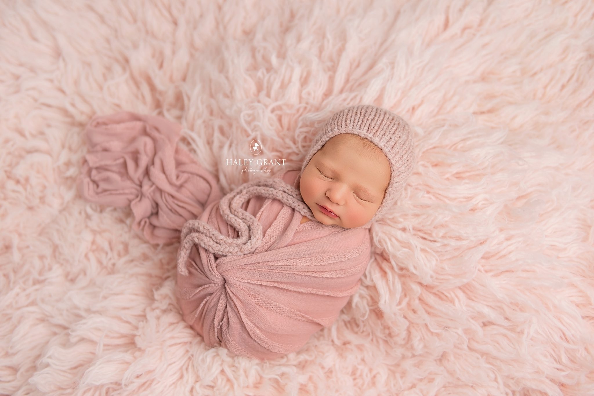 Newborn Photographer Austin