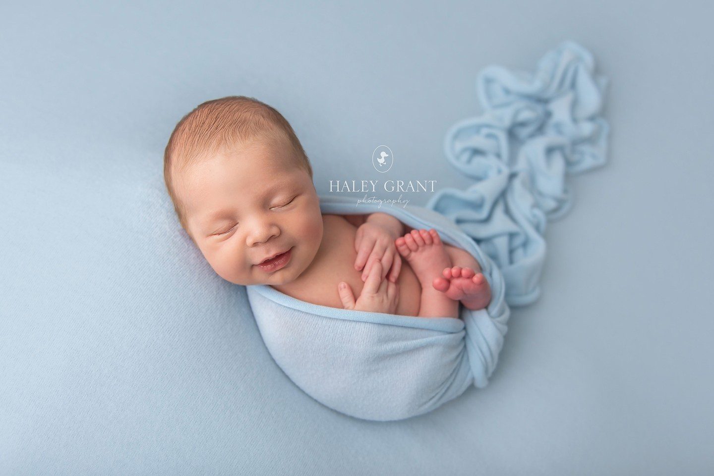haley grant photography, newborn photography austin, austin newborn photography, haley grant, austin newborn photographer, newborn photographer austin, newborn photography austin tx, newborn photography georgetown, austin maternity photographer, austin baby photographer, affordable newborn photography near me, maternity photography austin, affordable maternity photography near me, cake smash photography austin, maternity photoshoot austin, newborn photographer austin tx, austin texas newborn photographer, newborn photoshoot austin, maternity photographer georgetown tx, maternity photos austin, newborn photographer, milestone photography, baby milestone photography near me, affordable newborn photography austin, tx, affordable newborn photography, baby photographers austin, first birthday photoshoot near me, first birthday photography austin, round rock newborn photographer, first birthday photographer austin, professional baby photographer, 1st birthday photoshoot near me, cake smash photoshoot near me, back to school mini sessions, new born photoshoot near me, newborn maternity photography, maternity photography, bluebonnet mini sessions, photographers near me, newborn baby photoshoot near me, smash the cake photographer near me, newborn photography packages near me, austin family photographer, austin maternity photography, austin baby photographers, austin newborn photographers, newborn photography cedar park tx, affordable maternity photography, newborn photography texas, baby photographer, maternity photographer austin tx, austin birth photographer, austin baby photography, newborn photography in austin tx, newborn photography near me, maternity photoshoot cost, austin photographer, smash cake photoshoot near me, family photographer austin, maternity and newborn photography packages, baby milestone photography, family photos austin, cake smash photographer near me, cake smash photography near me, austin family photographer mini session, newborn photographer georgetown, maternity photography georgetown tx, cake smash photoshoot austin, cake smash session austin, newborn photographer cedar park, newborn photography cedar park, newborn photography round rock, cake smash photographer pflugerville, maternity photographer pflugerville, maternity photographer cedar park, maternity photographer round rock tx, milestone photography near me, best family photographer austin, first birthday photography near me, 1st birthday photography near me, photography in austin, birth photographer austin, cake smash near me, affordable maternity photoshoot , maternity photoshoot prices, austin maternity photographers, january milestone pictures, smash cake austin, birthday photographer, maternity shoot pricing, when do I book my newborn photographer, Austin, Affordable, Austin Professional newborn Baby Photographer, Austin TX, Austin Texas, Baby Photographer, Haley Grant Photography, Hutto, newborn Photographer, Photographer, Portrait Photographer, Professional, Texas, austin newborn photographers, austin photographer, austin tx newborn photographer, baby, baby photography, baby photos, best, best austin photographer, best baby photographer, best baby photographers, best newborn photographer, cedar park, cedar park newborn photographer, georgetown, newborn, lakeway, lakeway tx newborn photographer, leander, leander tx newborn photographer, newborn photos Cedar Park, newborn Photography, newborn photographer austin tx, newborn photographer cedar park tx, newborn photographer dripping springs, newborn photographer lakeway tx, newborn photographer leander tx, newborn photographer round rock tx, newborn photographers austin, newborn photos, professional, professional photographer, Props provided, round rock, round rock tx newborn photographer, service, steiner ranch, studio, tx, westlake, newborn