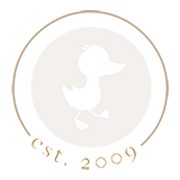Austin Professional Newborn Baby Photographer