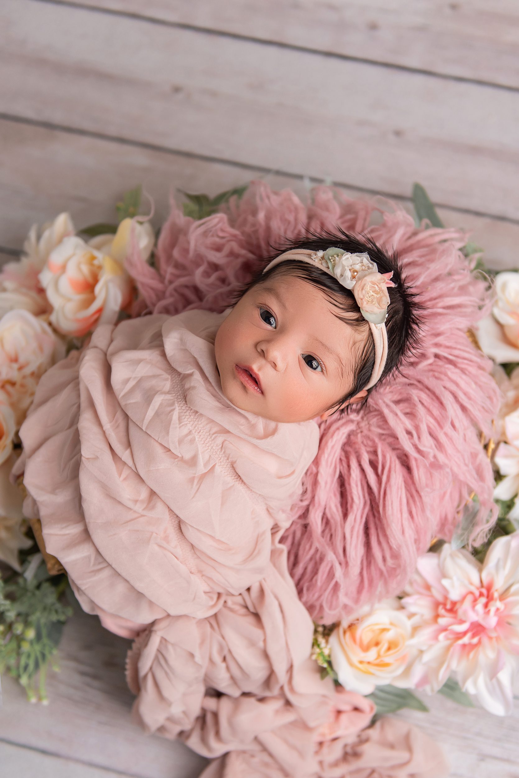 Austin Newborn Photographers